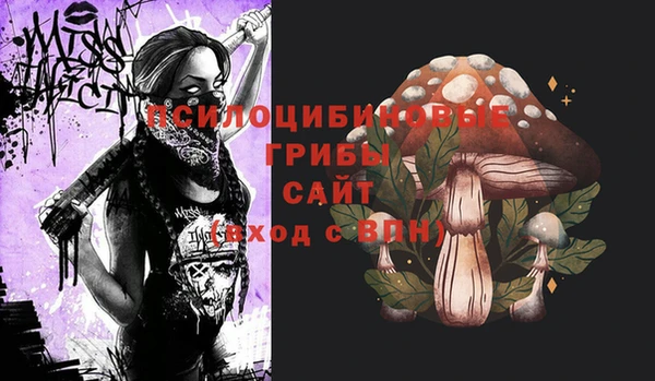 гидропоника Куйбышев