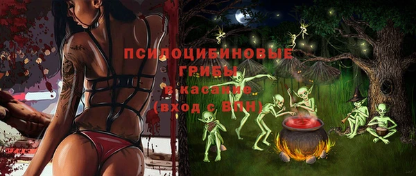 меф Нягань
